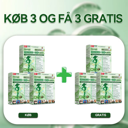 𝑶𝒇𝒇𝒊𝒄𝒊𝒆𝒍 𝑩𝒖𝒕𝒊𝒌 | 🌱🌱 𝐆𝐋𝐎𝑹𝑬𝑵𝐃𝗔® 𝑴𝒐𝒓𝒊𝒏𝒈𝗮 · 𝗕𝗲𝗿𝗯𝗲𝗿𝗶𝗻 × 𝑵𝐀𝐃⁺ 𝟏𝟎-𝐢-𝟏 𝗔𝗱𝘃𝗮𝗻𝗰𝗲𝗿𝗲𝘁 𝙉𝙖𝙣𝙤-𝙈𝙞𝙠𝙧𝙤𝙣𝙖̊𝙡 𝙋𝙡𝙖𝙨𝙩𝙚𝙧 🇩🇰 (Kun én gang om dagen – synlige forandringer på 7 dage)